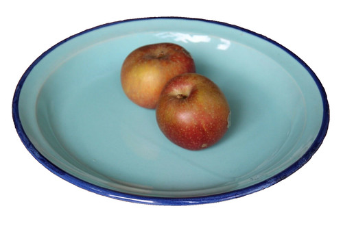 Large hollow dish - large, henriot